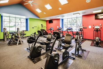 A gym with a variety of exercise equipment including treadmills, stationary bikes, and weight machines.